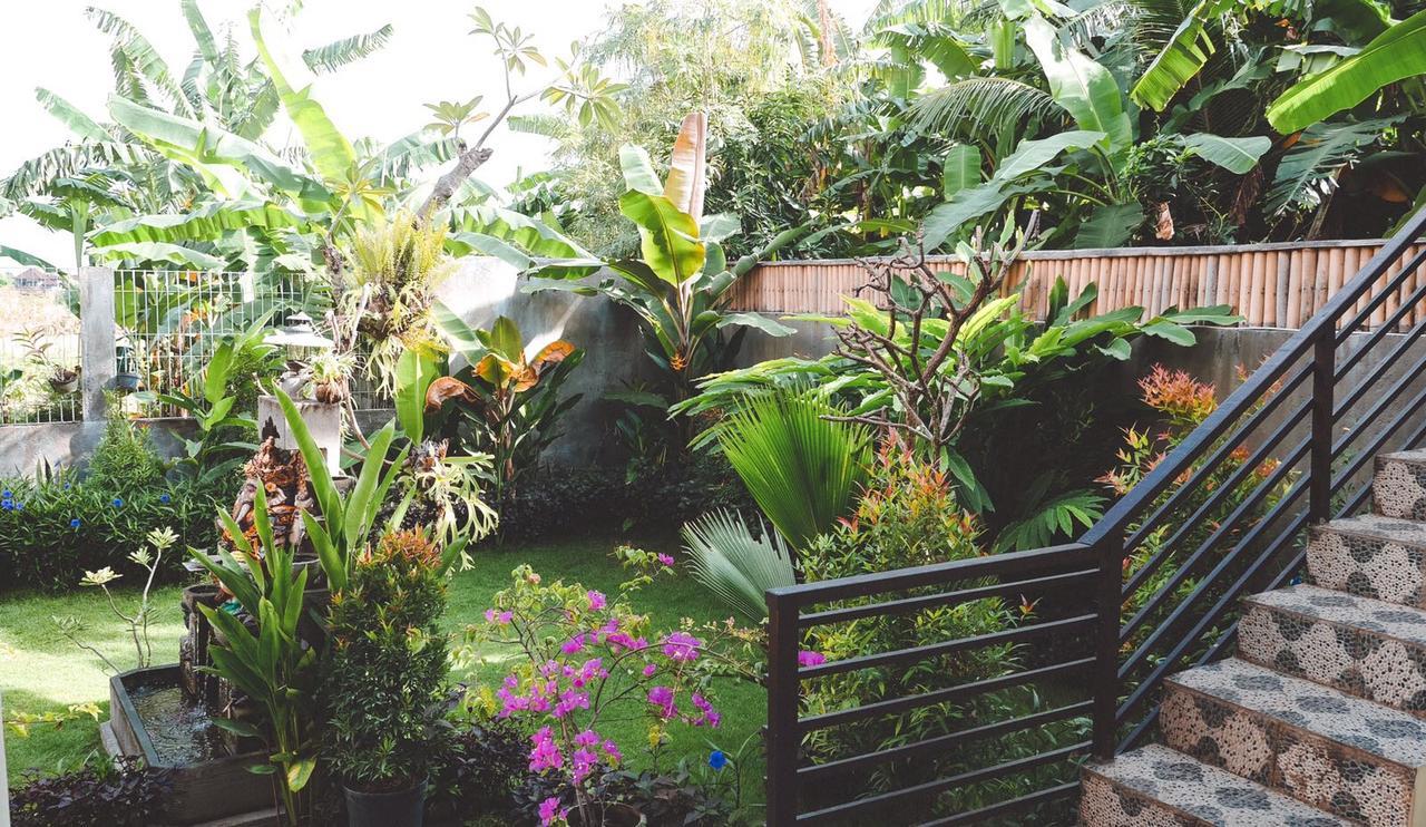 Pluto House Apartment Canggu  Luaran gambar